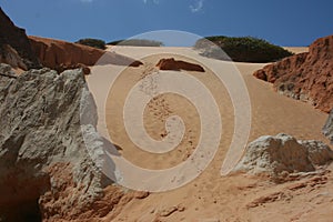 Dunes on the beach of Canoa Quebrada photo