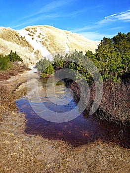 Dunes at Raabjerg Mile near Skagen, Denmark photo