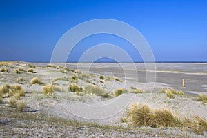 The dunes, Renesse, Zeeland, the Netherlands photo