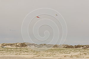 Dunes on Romo Island - Denmark. photo