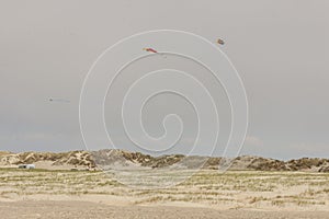 Dunes on Romo Island - Denmark. photo