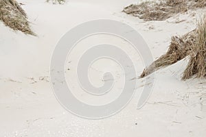 Dunes on Romo Island - Denmark. photo