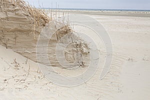 Dunes on Romo Island - Denmark. photo