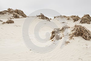 Dunes on Romo Island - Denmark. photo