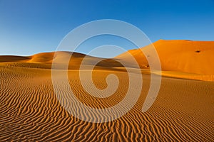 Waves in the dunes in the desert of Rub al Khali or Empty Quarter
