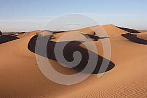 Dunes in Sahara Desert