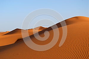 Dunes of Sahara Desert