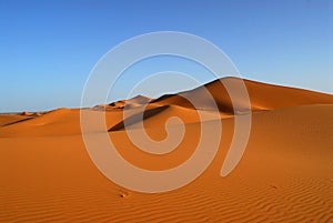 Dunes of Sahara Desert