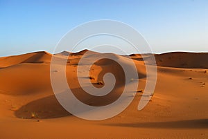 Dunes of Sahara Desert