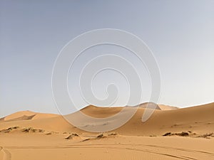 Dunes of Sahara desert