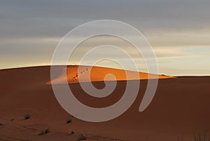 Dunes in Sahara Desert