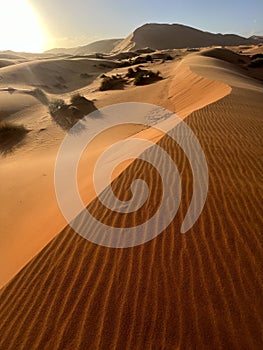 Dunes in the Sahara desert, Merzouga desert, setting sun. Morocco