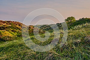 Dunes of Schoorl in the Netherlands