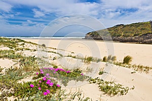 Dunes and sea landscape at the Amoreira beach in Portugal