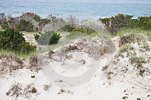 Dunes at Shackleford Banks, NC