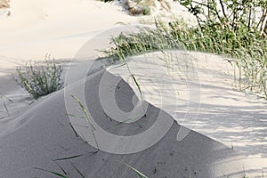 Dunes on the shore of the Baltic Sea