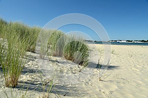 Dunes on Studland Bay near Swanage in Dorset