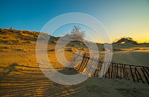 Dunes at sunrise