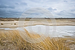 Dunes of Texel photo