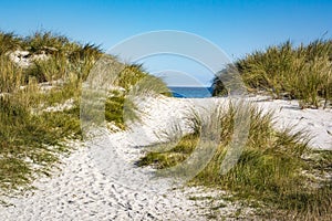 Dunes to Baltic Sea on Darss Peninsula, Germany