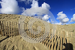 Dunes of The Touquet