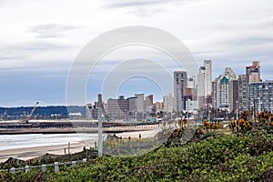 Dunes Vegetation and Aloes against Overcast City Skyline