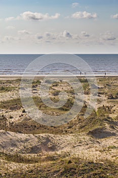 Dunes, vegetation and beach at Cassino beach