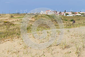 Dunes, vegetation and buildings at Cassino beach