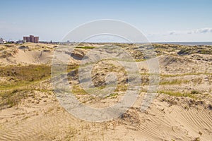 Dunes, vegetation and buildings at Cassino beach