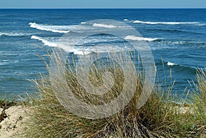 Dunes with white sand at Portugals west Atlantic coast