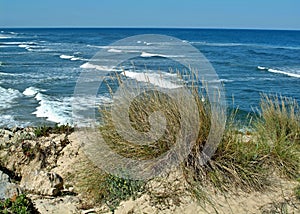 Dunes with white sand at Portugals west Atlantic coast