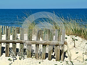 Dunes with white sand at Portugals west Atlantic coast