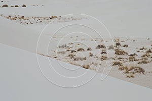 Dunes of White Sands National Monument