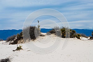 Dunes of White Sands National Monument