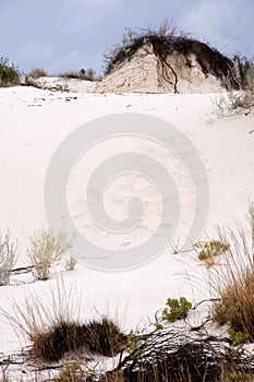 the Dunes of the White Sands National Monument in New Mexico USA
