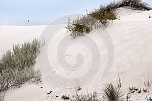 The Dunes of the White Sands National Monument in New Mexico USA