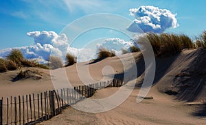 Dunes in the wind