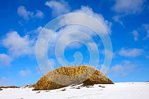 Dunes in winter