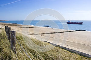 The dunes in Zoutelande, the Netherlands photo