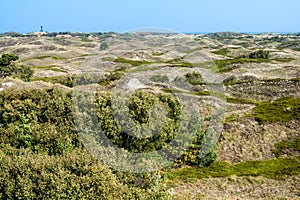 Dunescape Spiekeroog, Germany photo