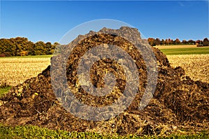 Dung heap