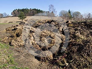 Dung pile