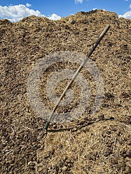 Dung with pitchfork