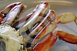 Dungeness Crab Legs photo
