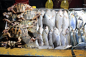 The Dungeness crab, Metacarcinus magister formerly Cancer magister and sea fish at fish market.