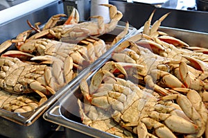 Dungeness crabs