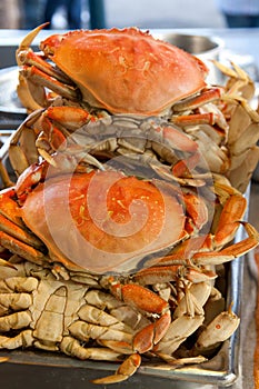 Dungeness crabs photo