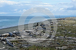 Dungeness spit photo