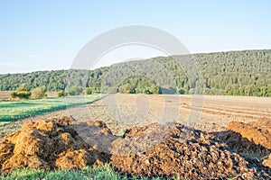 Dunghill besides a wheat field