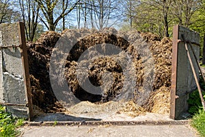 Dunghill of manure between stone walls, countryside Netherlands